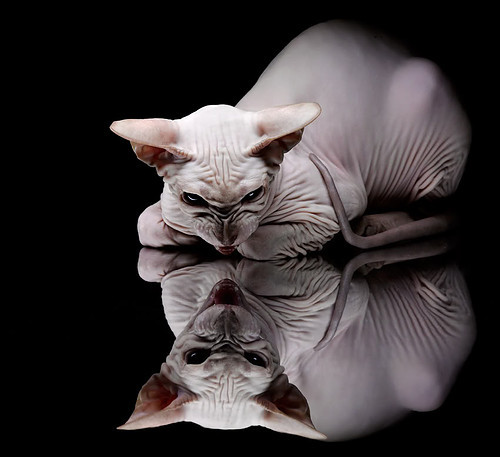 数据驱动下的临场换人是否优于经验判断