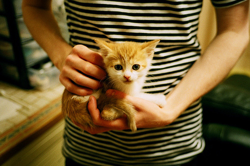 德国队备战国际乒联混合团体世界杯：赛制对战绩的影响，德国乒乓球参赛名单