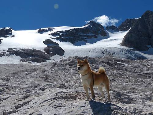 校园篮球裁判培训体系为何缺位，校园篮球裁判的发展现状分析